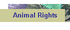 Animal Rights