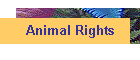 Animal Rights